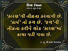 DDS2-062.jpg