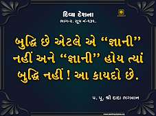 DDS2-131.jpg