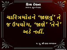 DDS2-287.jpg